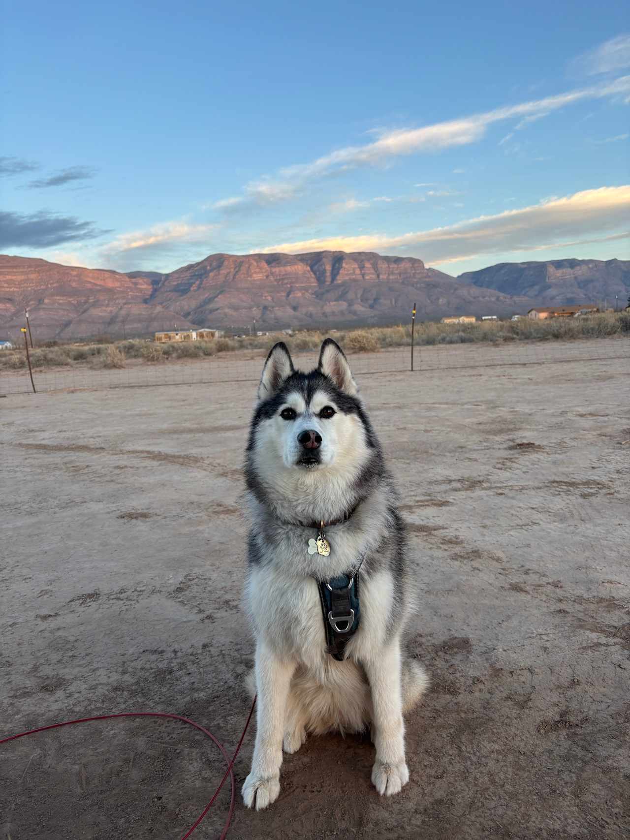 White Sands Culinary Camp