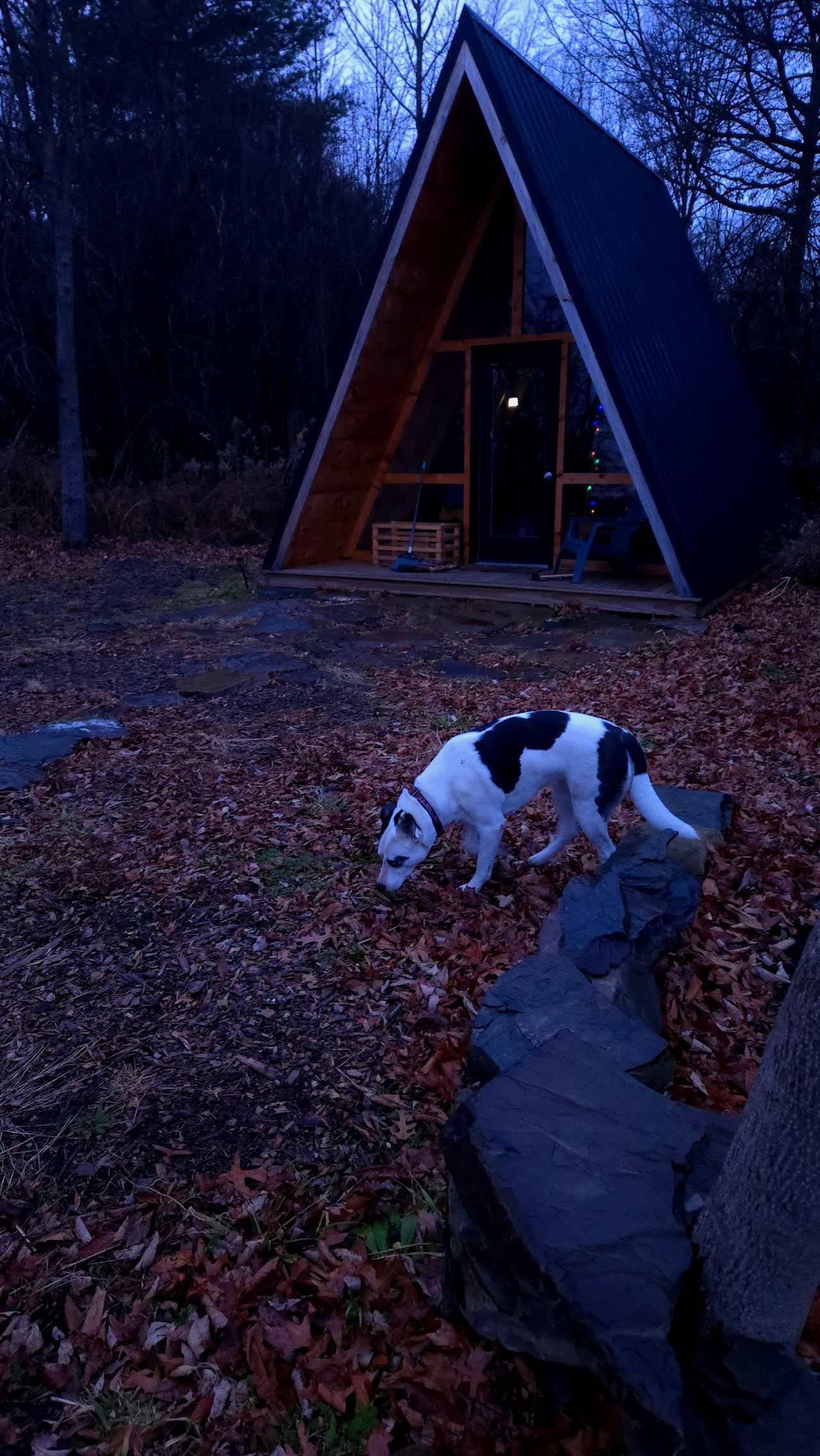 A-Frame In The Woods