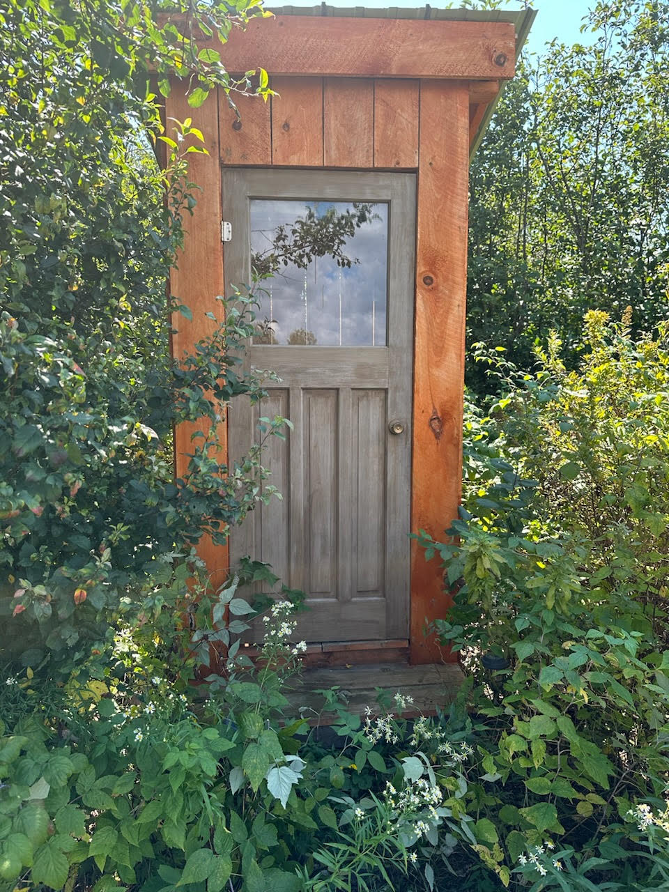 Red Pine Escape