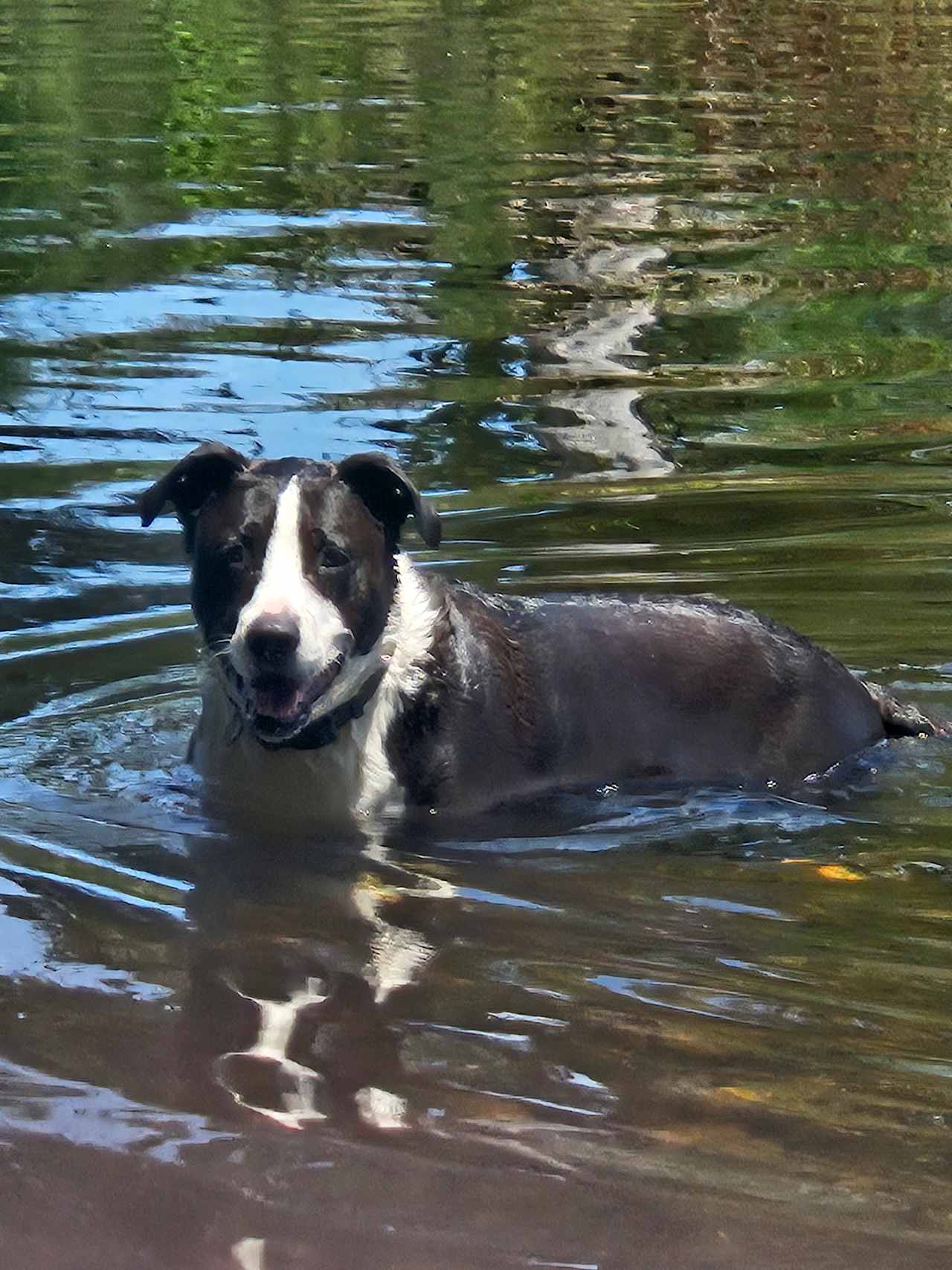 Camping on the Barrington River