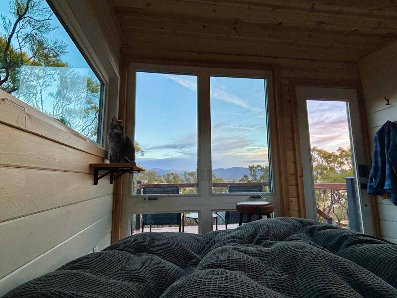 Cozy pet friendly cabin! (This is our cat, not the farm cat)
