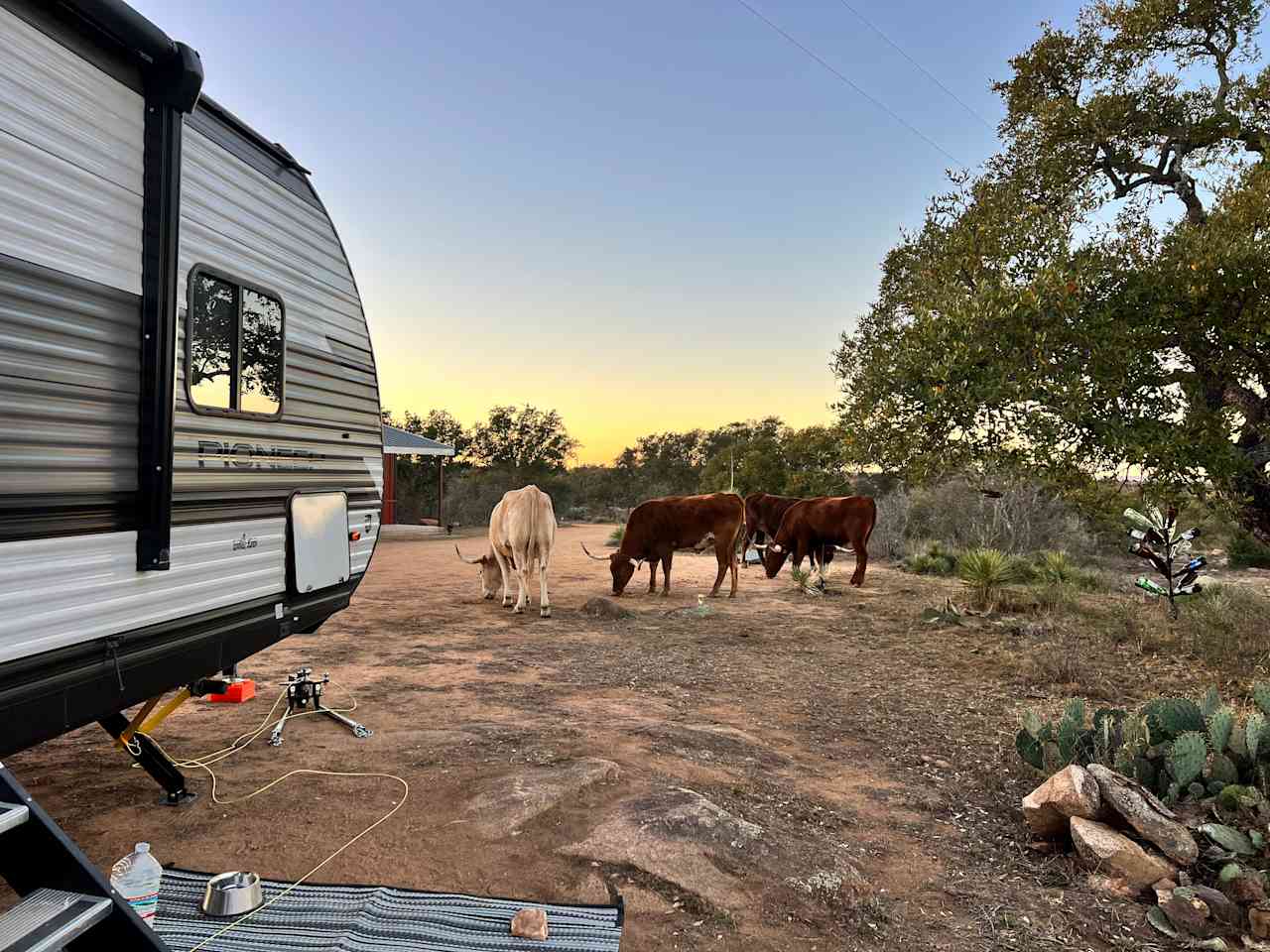 Brown Chicken Brown Cow Ranch