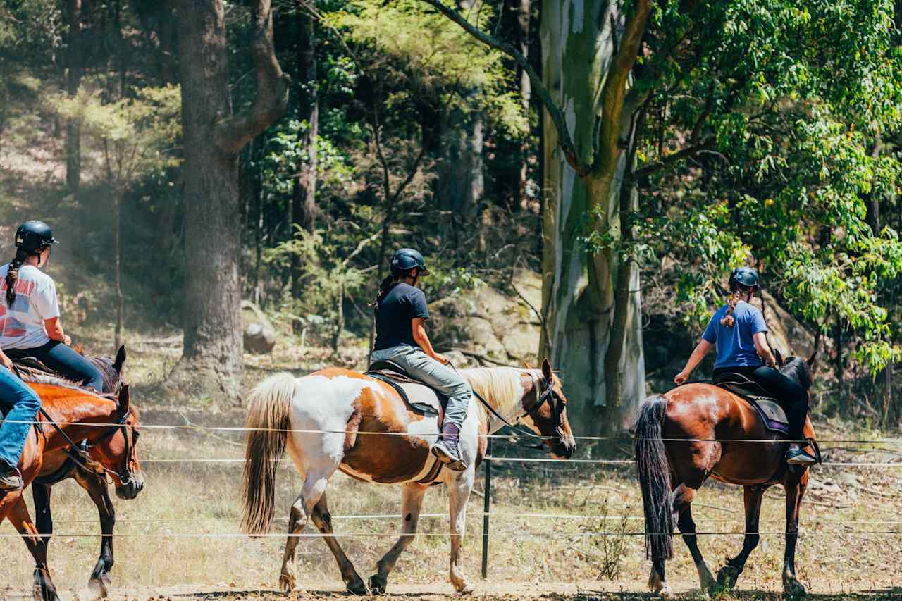 horse riding