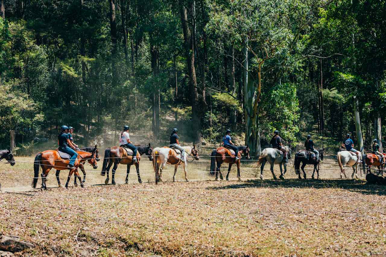 Horseriding