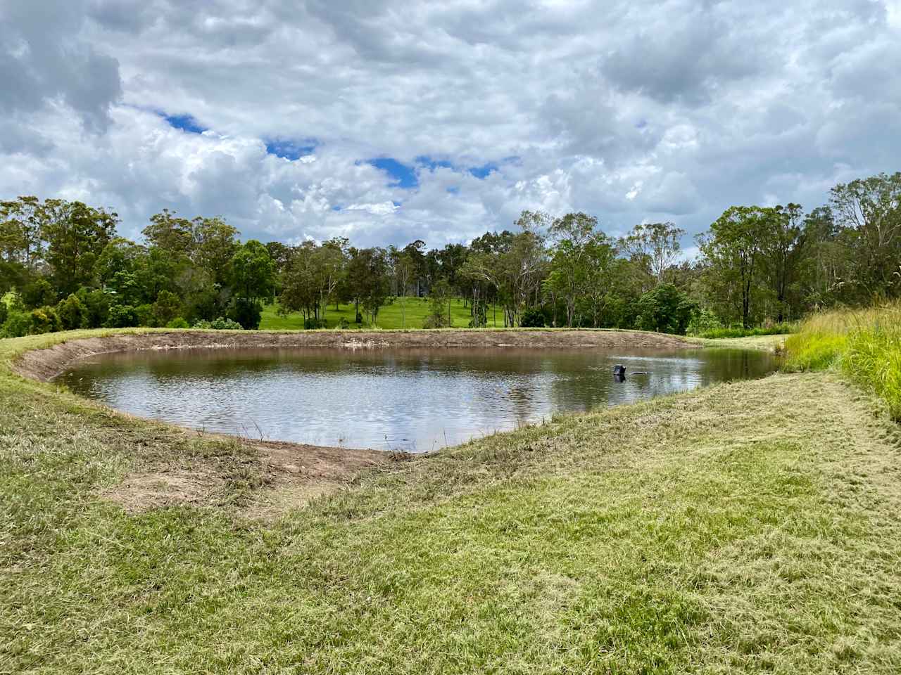 Bellwood Homestead Campground