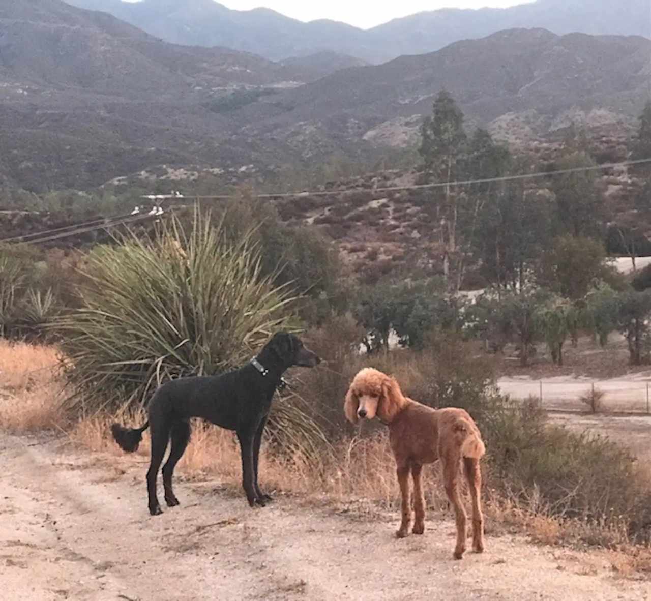 Ranch Life Getaway