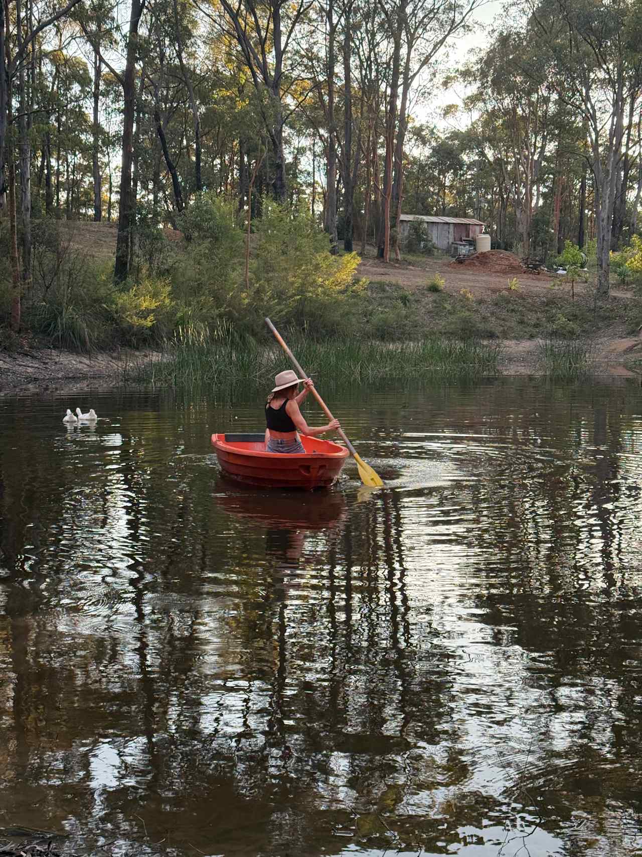 Mountain Lagoon Camping & Glamping