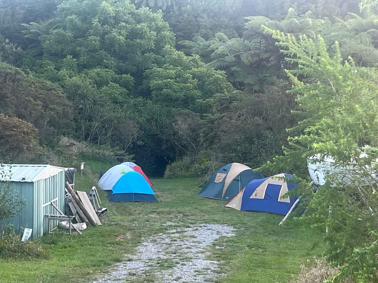 Camp in nature close to Hobbiton