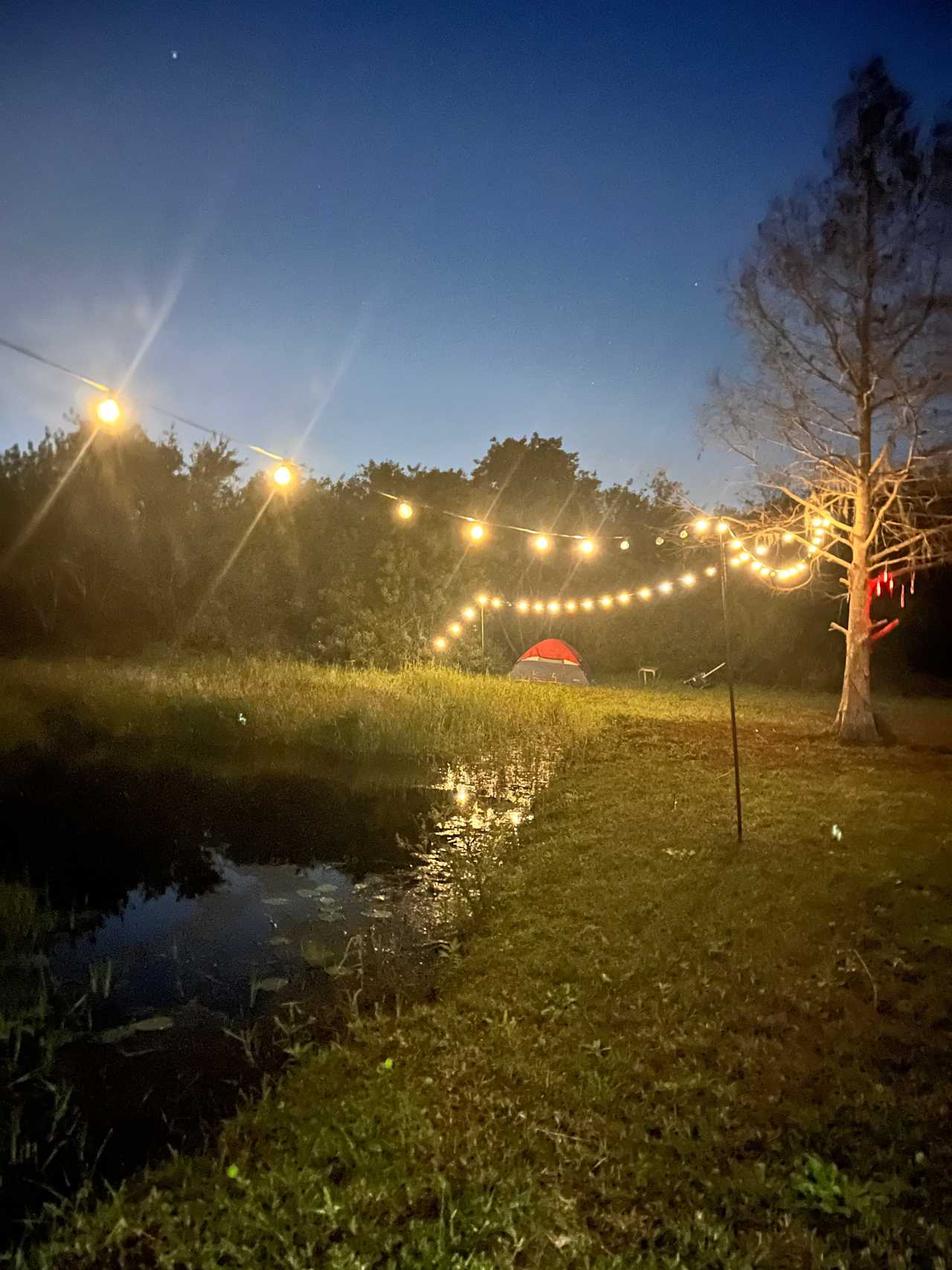 "Set up camp where magic meets nature. Unplug and unwind under the open sky.  🌿⭐️ #HipcampHideaway #NatureLovers" #pond #fish 
