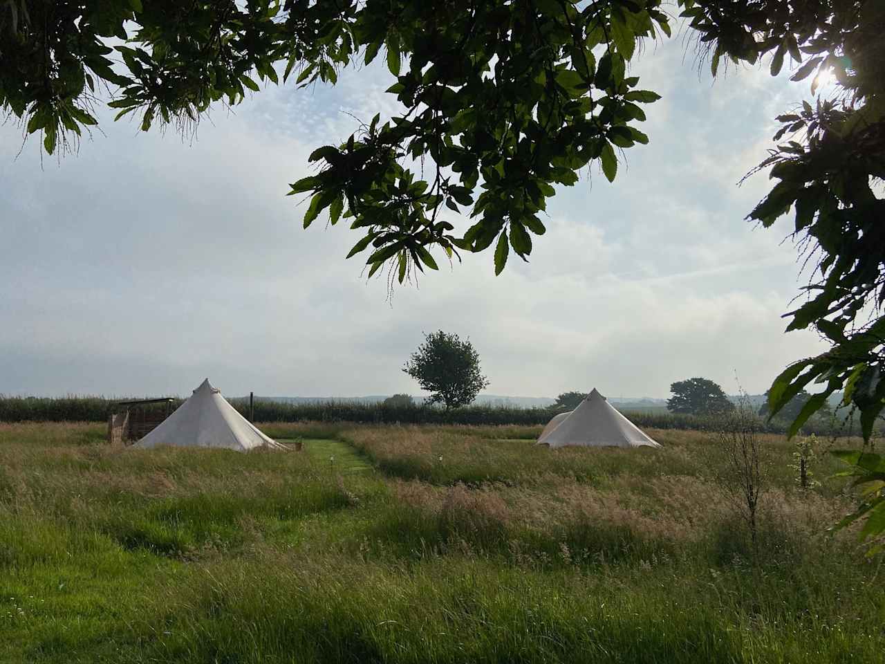 Broadleaves Glamping