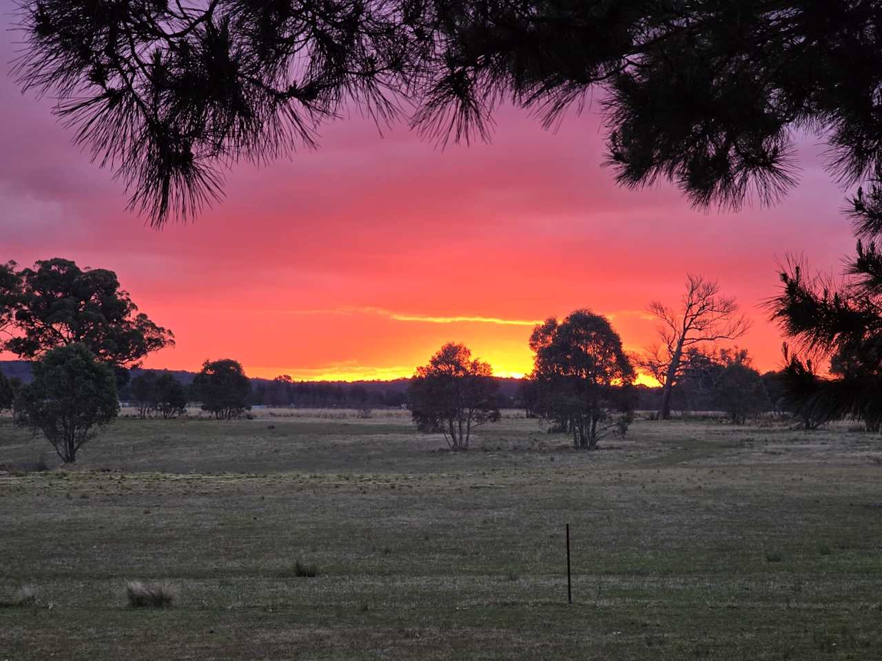 The Hobby Sheep Farm