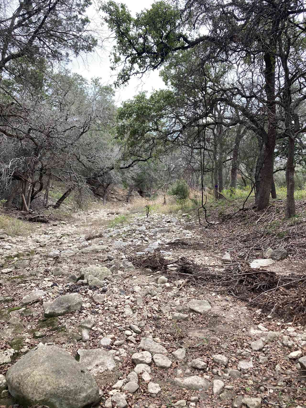 West Sorrow Creek path to Canyon Lake, take a nice hike. 