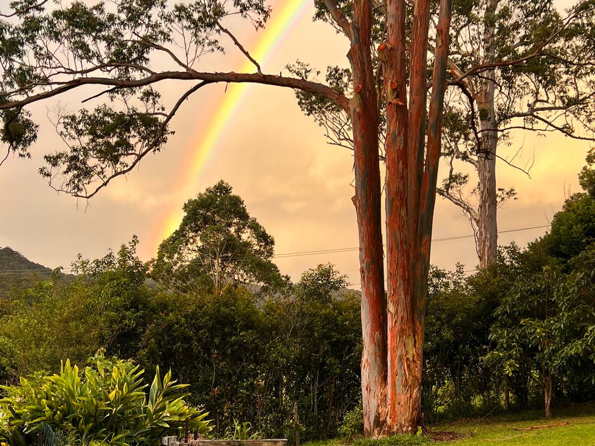 Rainbow Farm