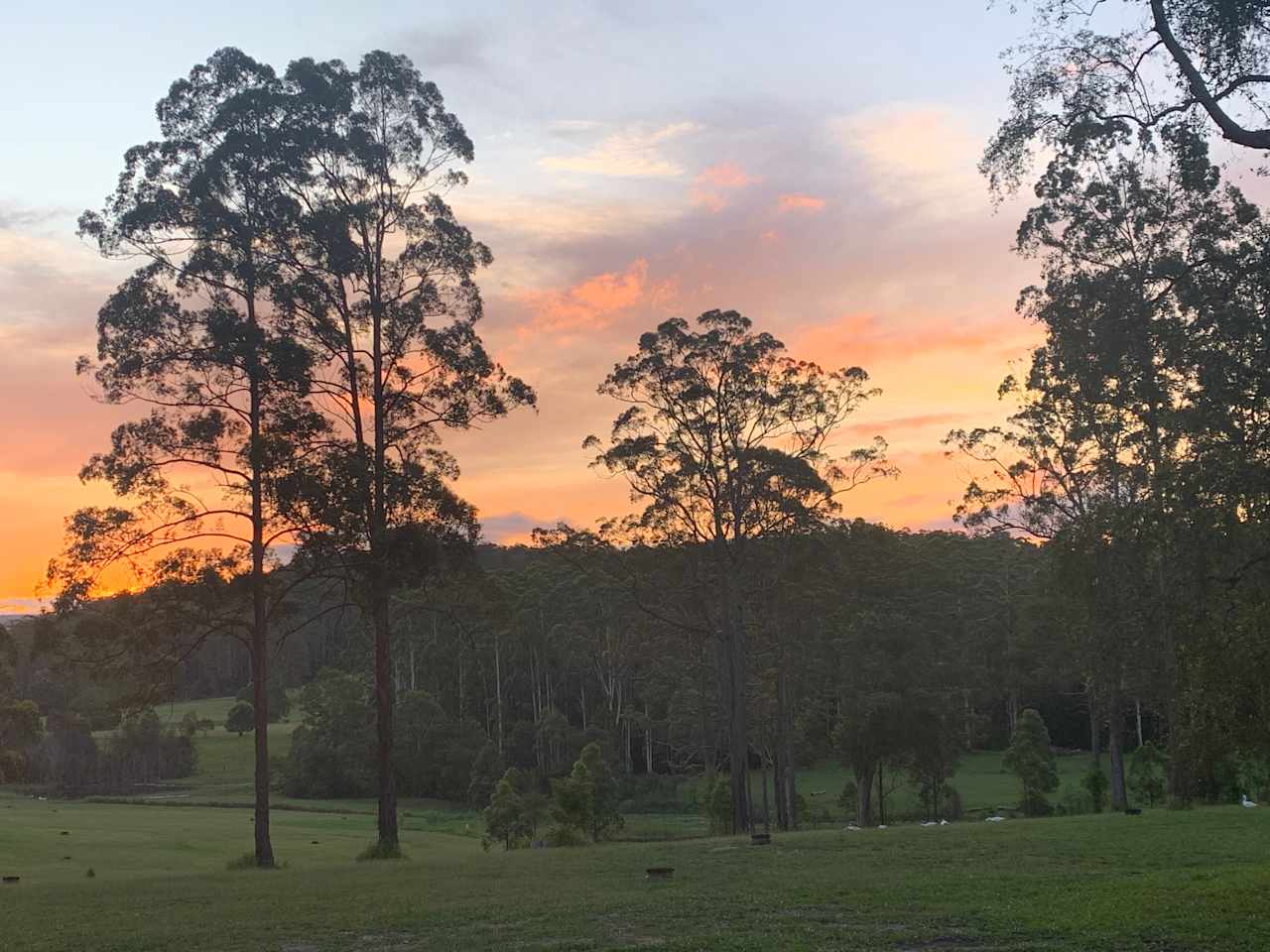 View from our RV site