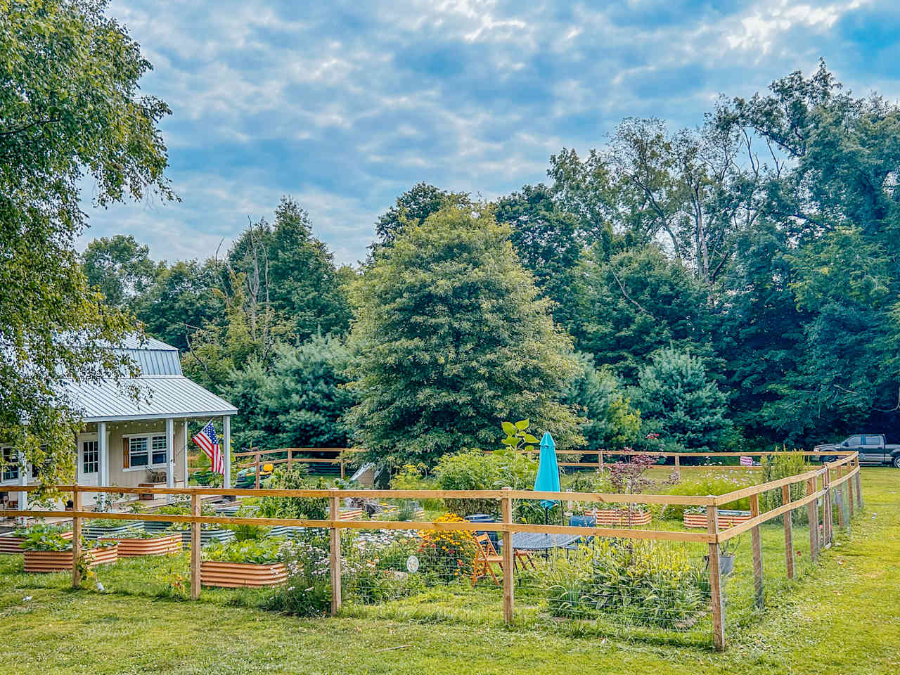 Our organic garden