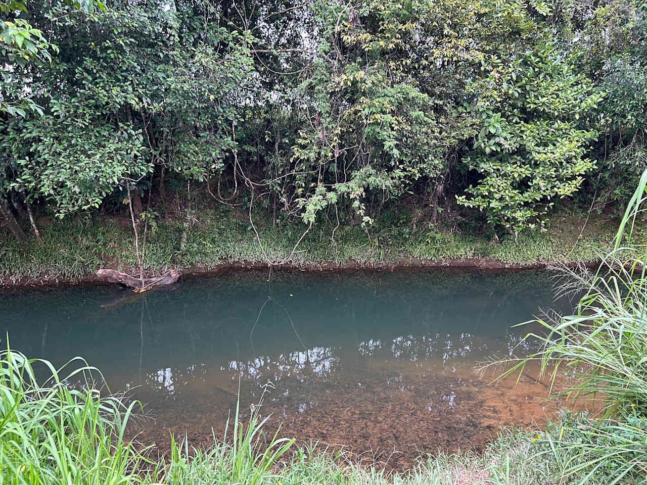 Tropical Woopen Creek Camping