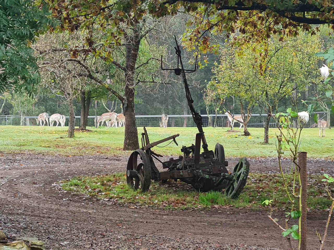 Oakleigh Farm Stay