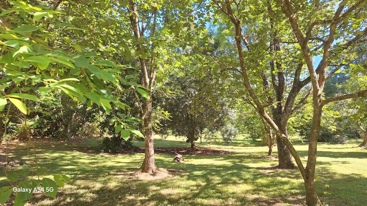 Burringbar Camping