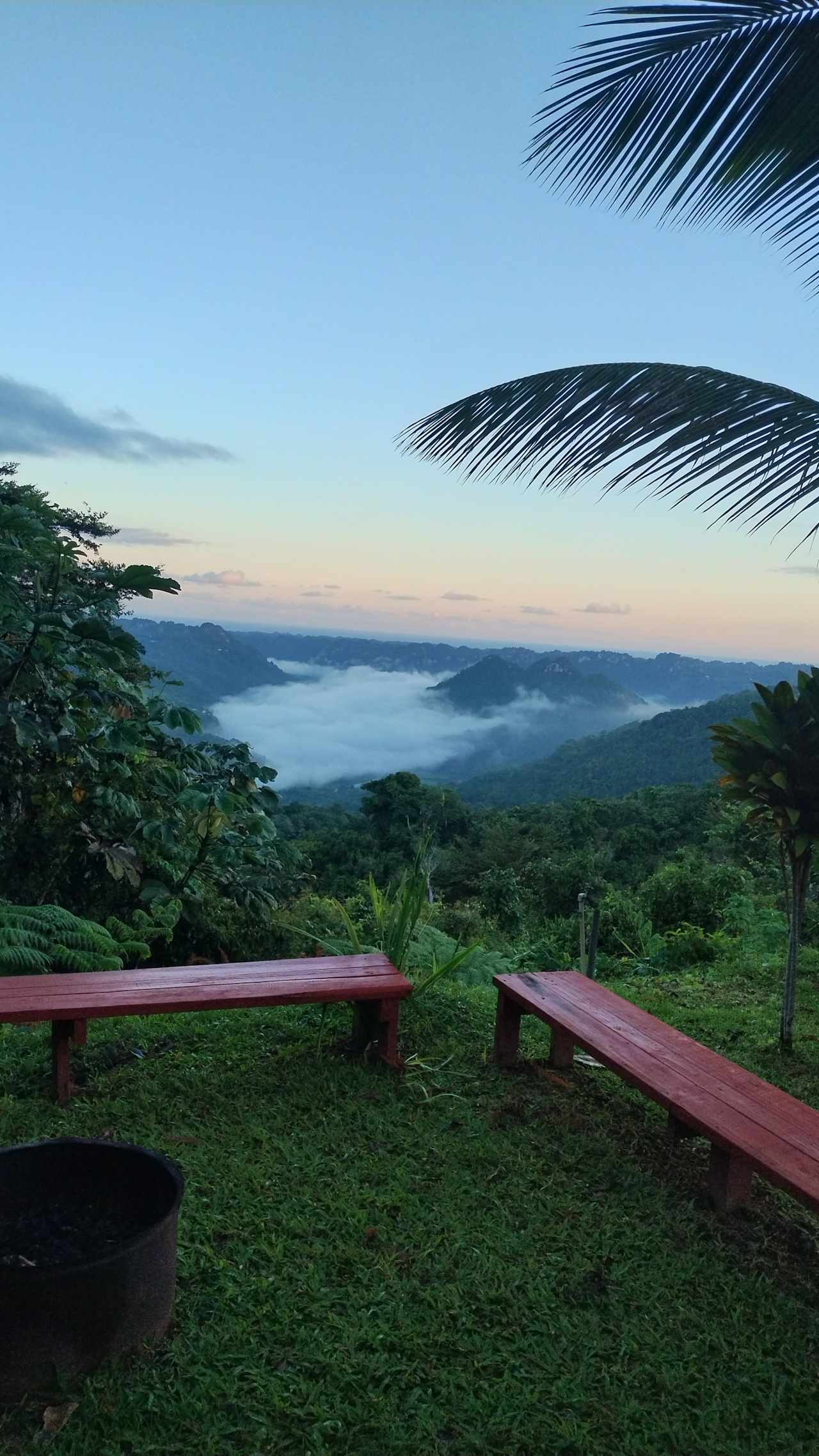 Rainforest Campground & Glamping