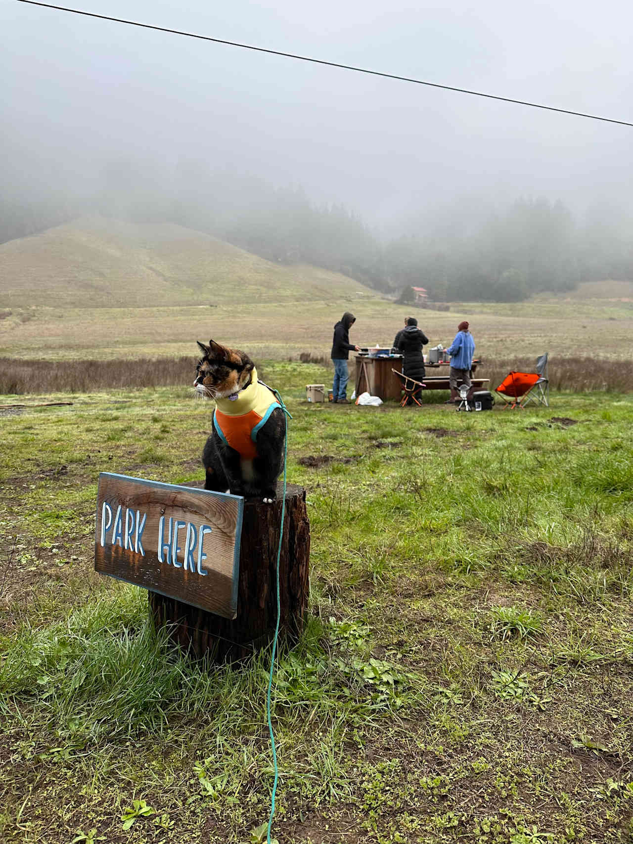 Otter Valley Farm
