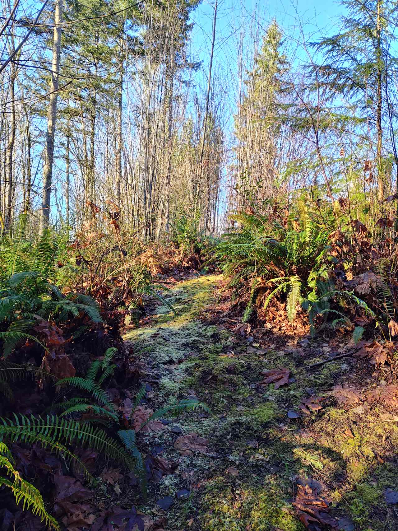 Walking the trails