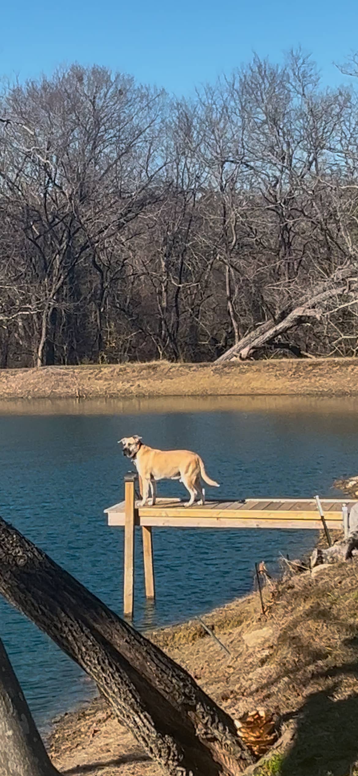 Beaver’s pond