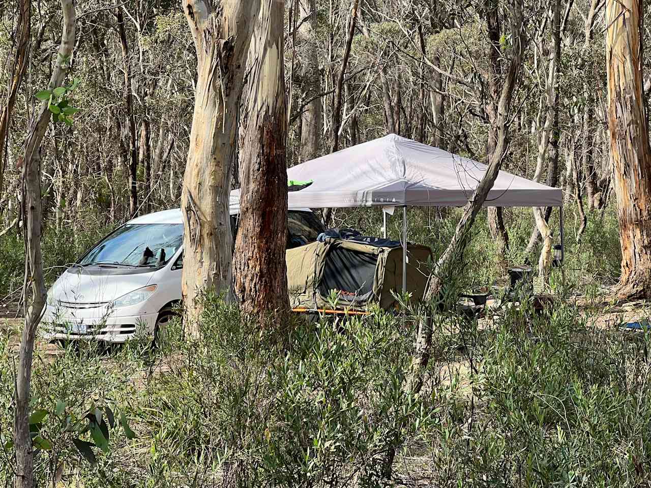 Scribbly Gum secluded bush camping