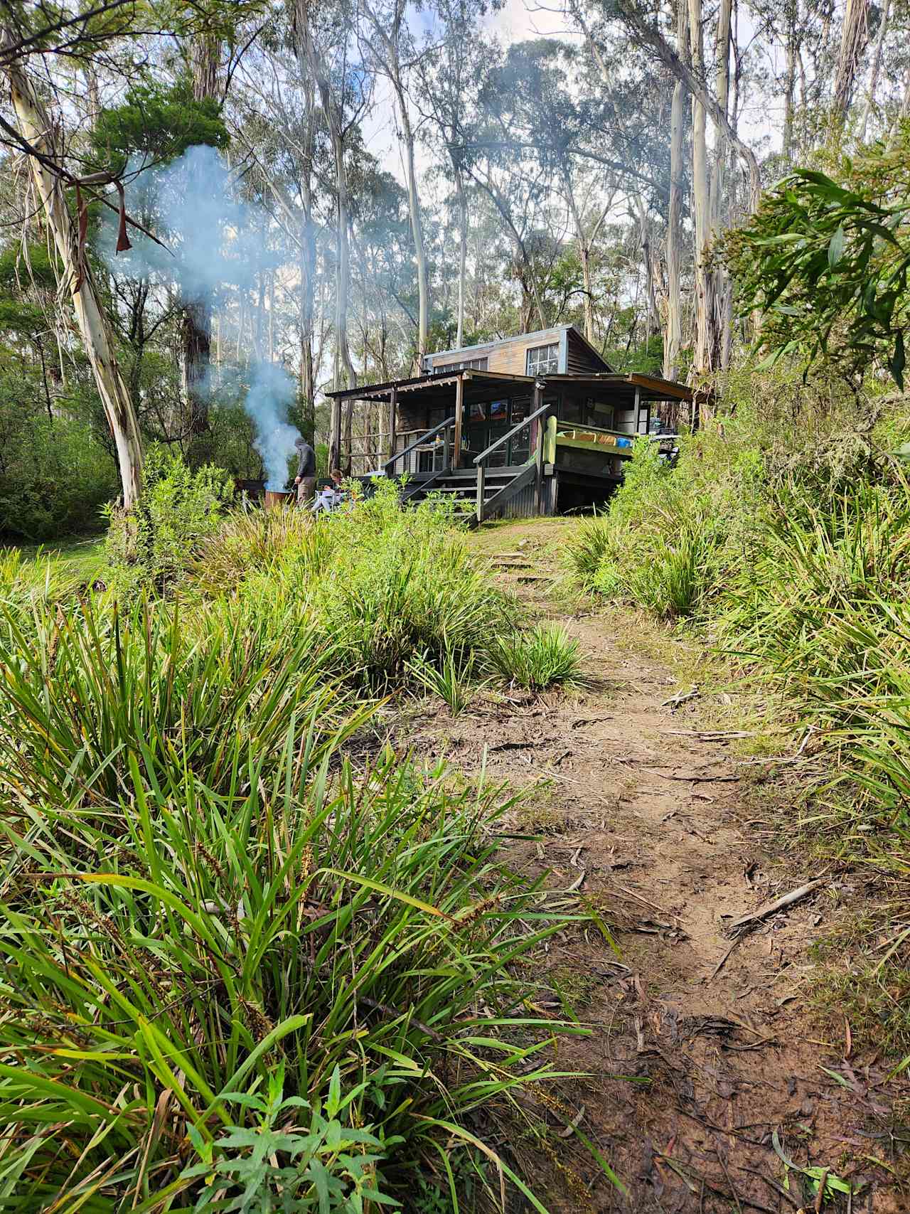 Scribbly Gum secluded bush camping