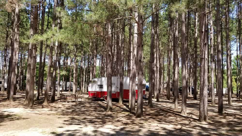 Dell Pines Campground