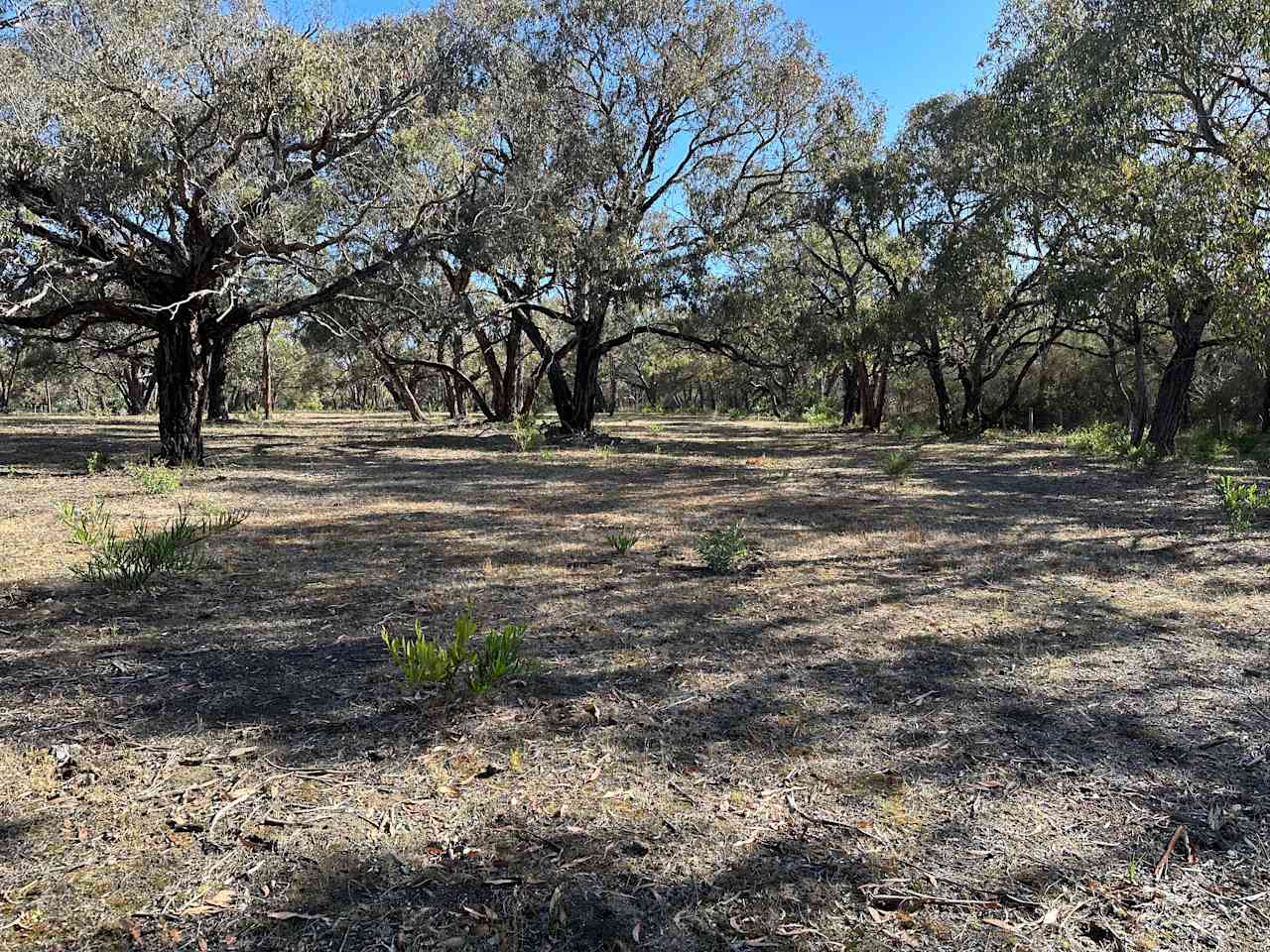 Bellbrae Bush Retreat