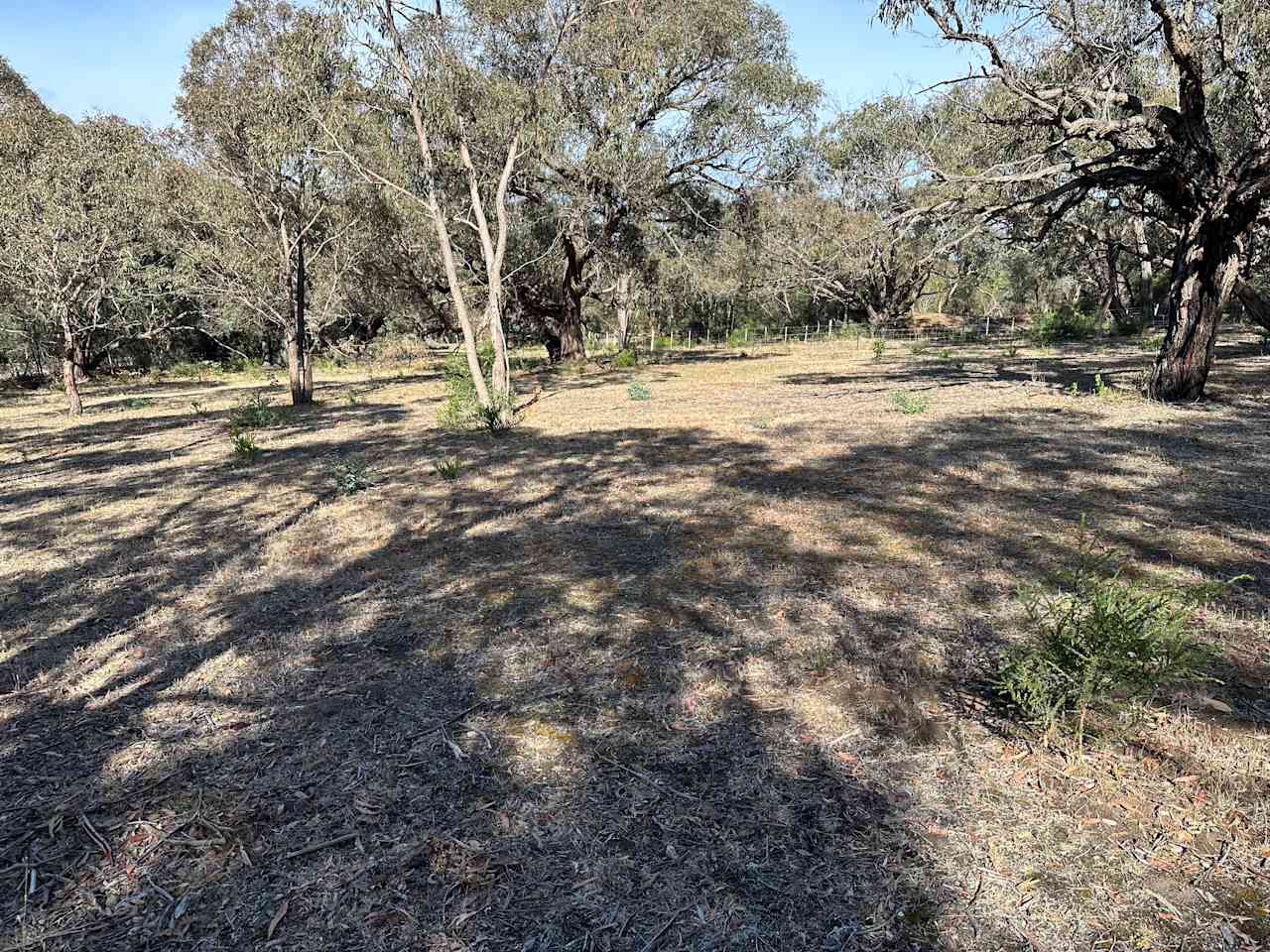 Bellbrae Bush Retreat