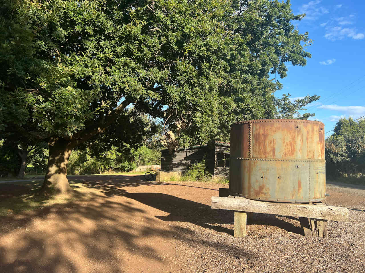 Iron Pot Bay Vineyard