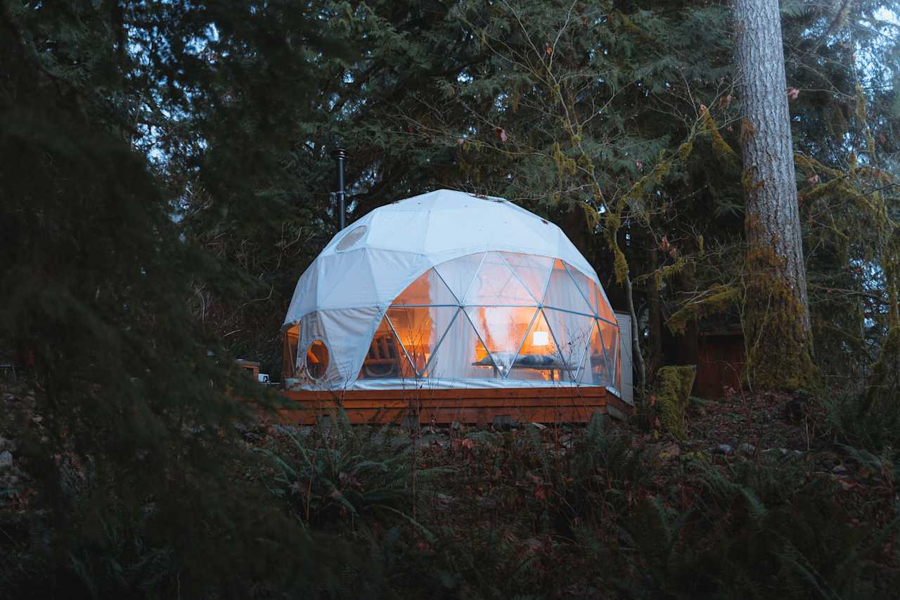 Our cozy geodome surrounded by the forest
