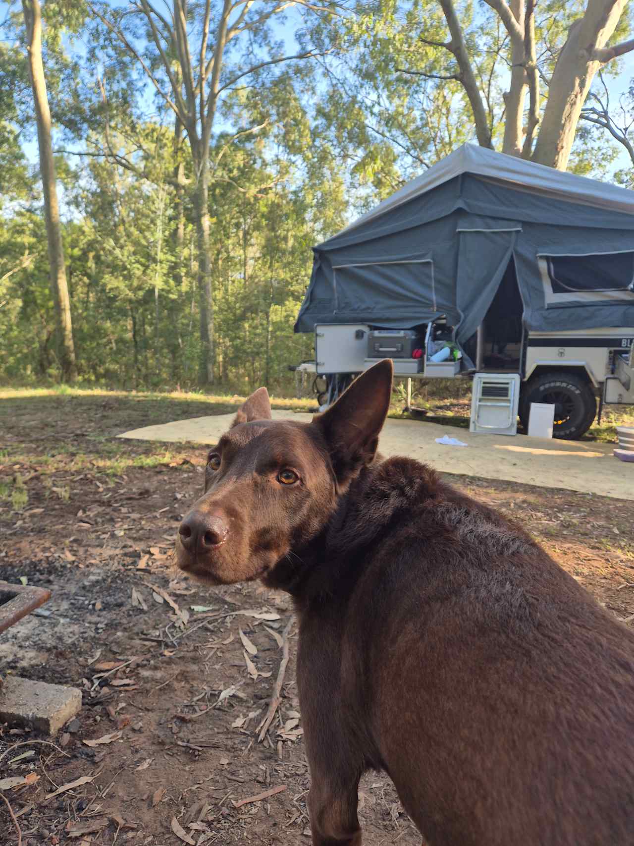 Hunter River Bush Camp