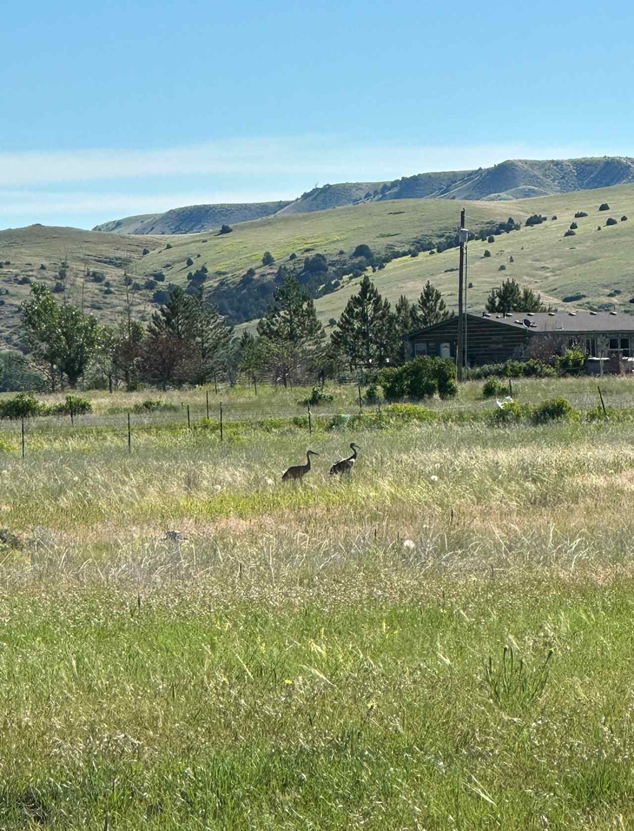 Madison River tiny house/camp site