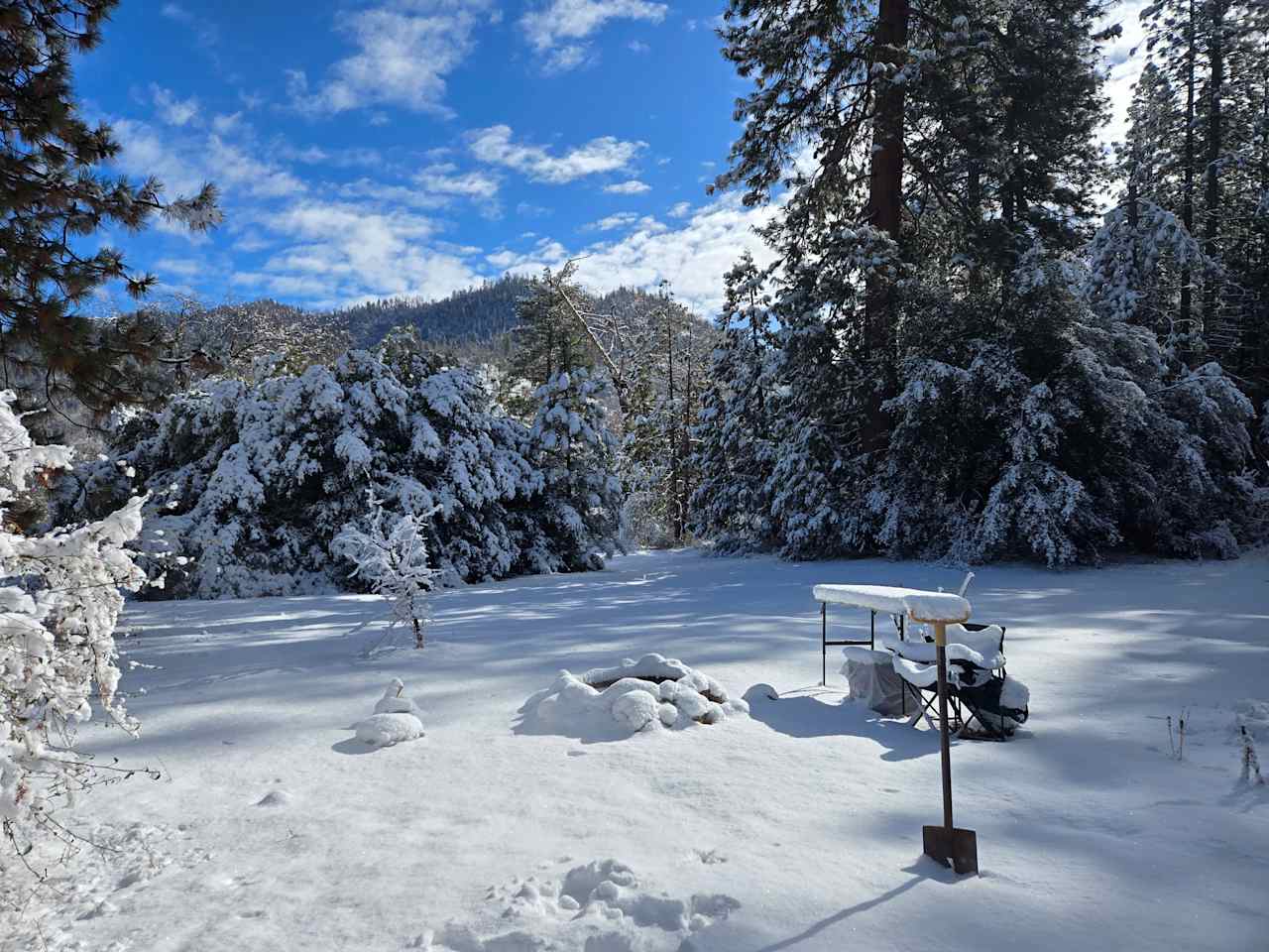 Thistledew Ranch