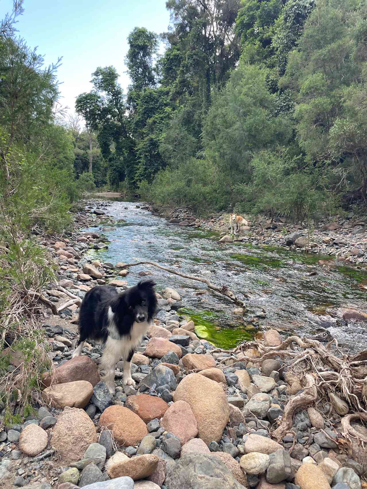 Creek View Place