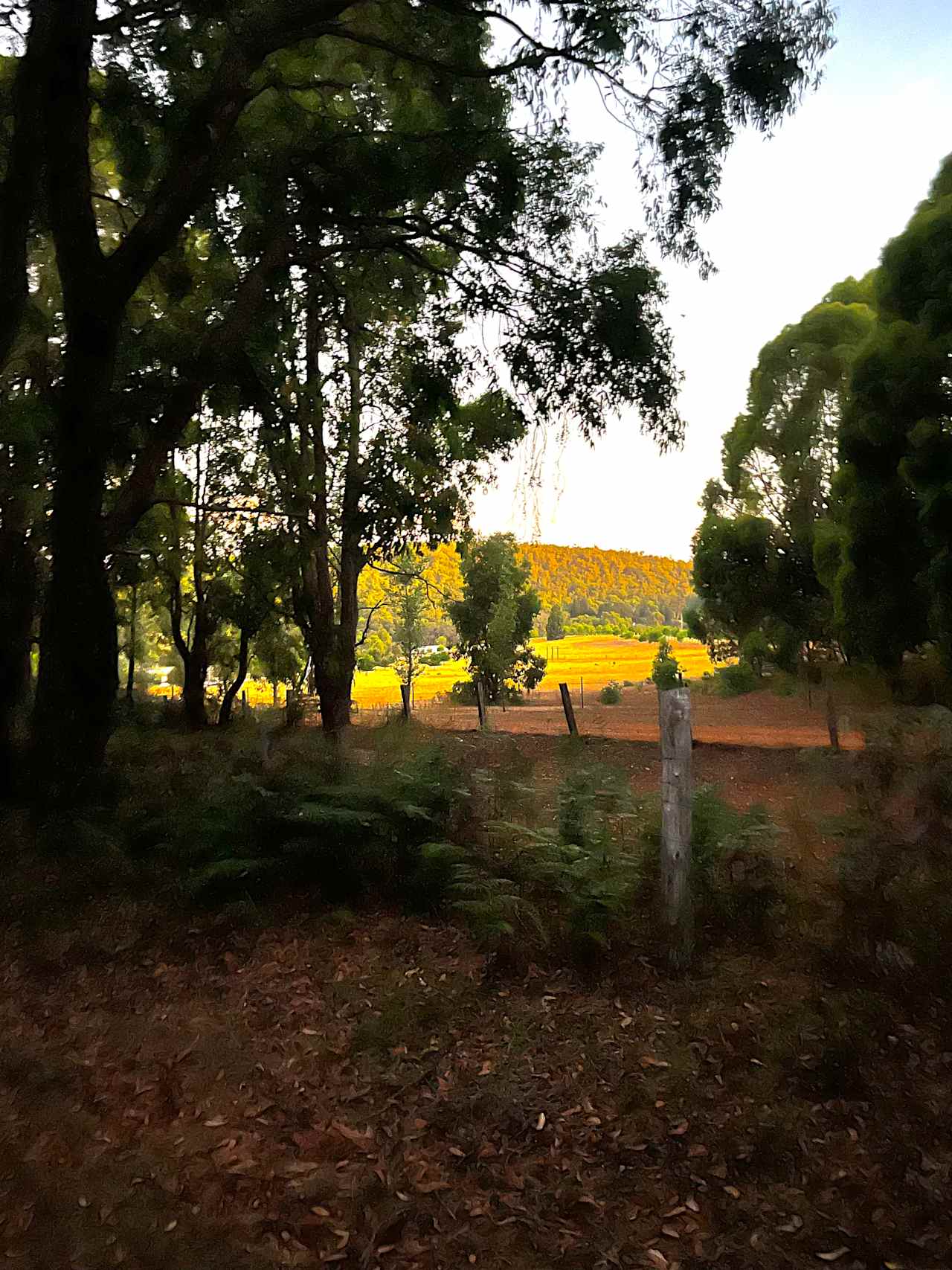 Valley views