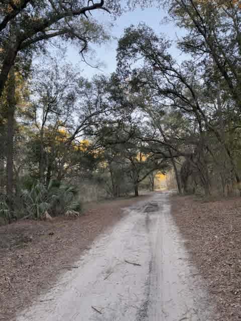 Bryan Ranch