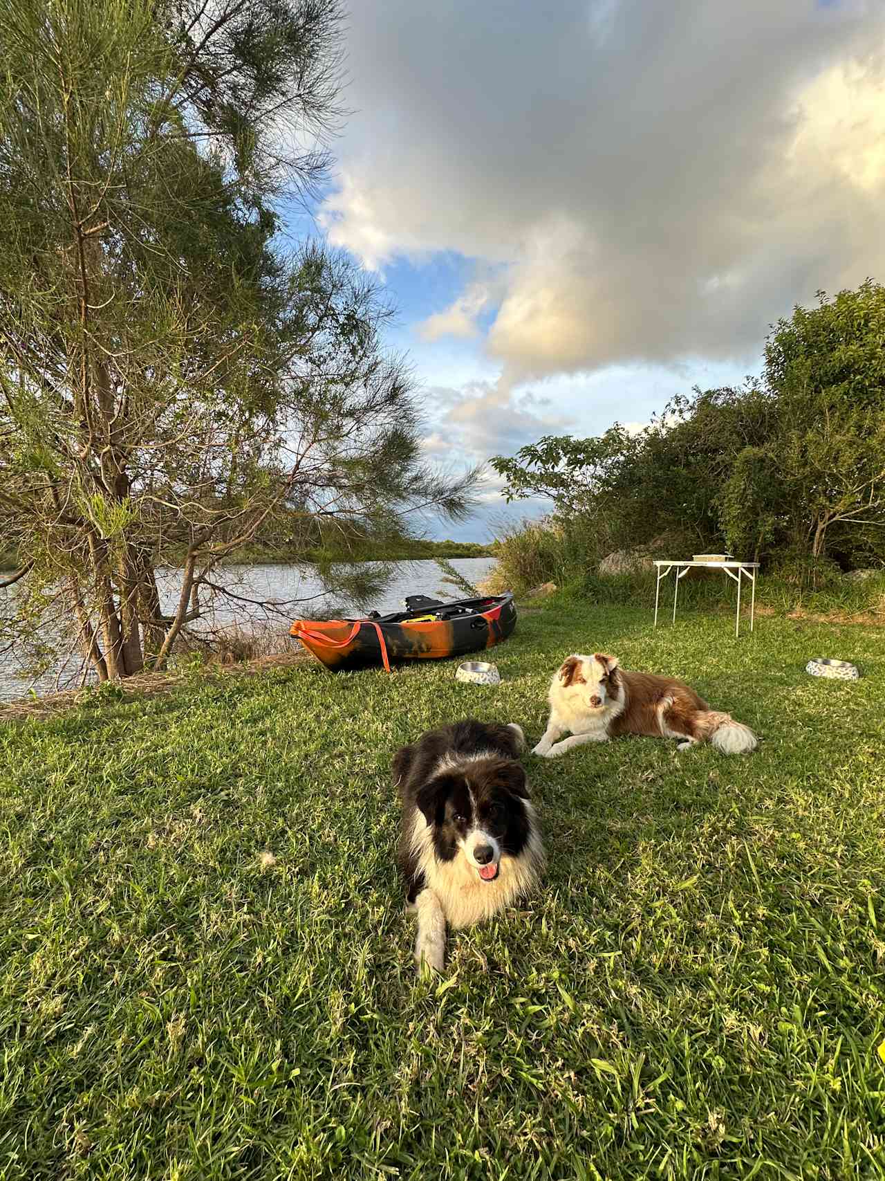Macleay Home Camp