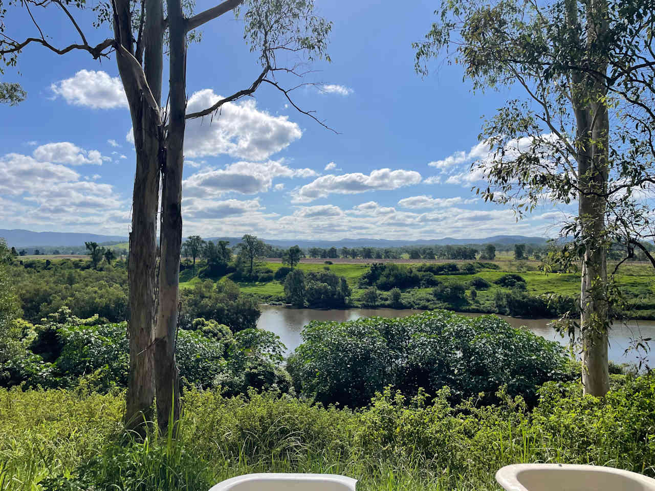 View of the river from swan lake campsite 
