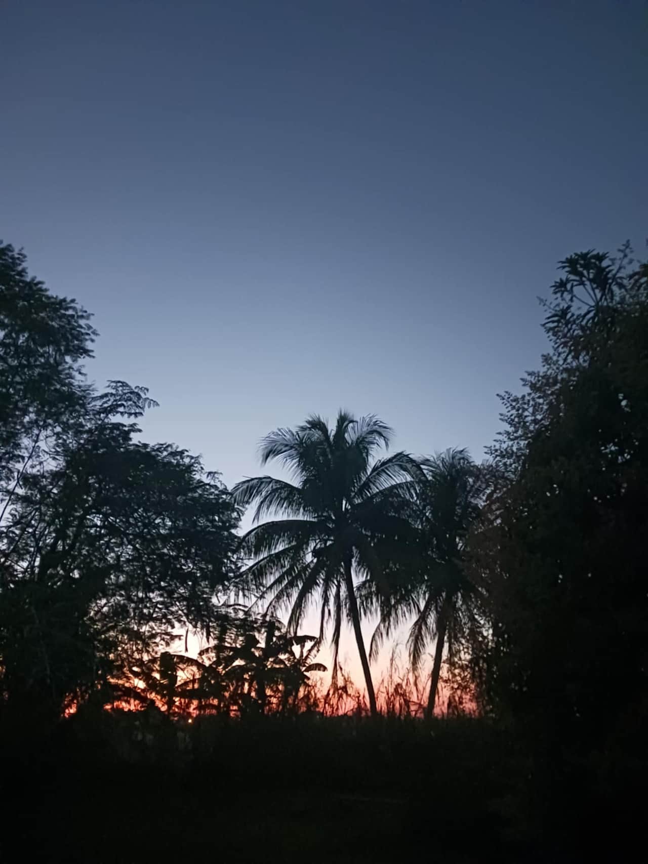 Tropical Getaway