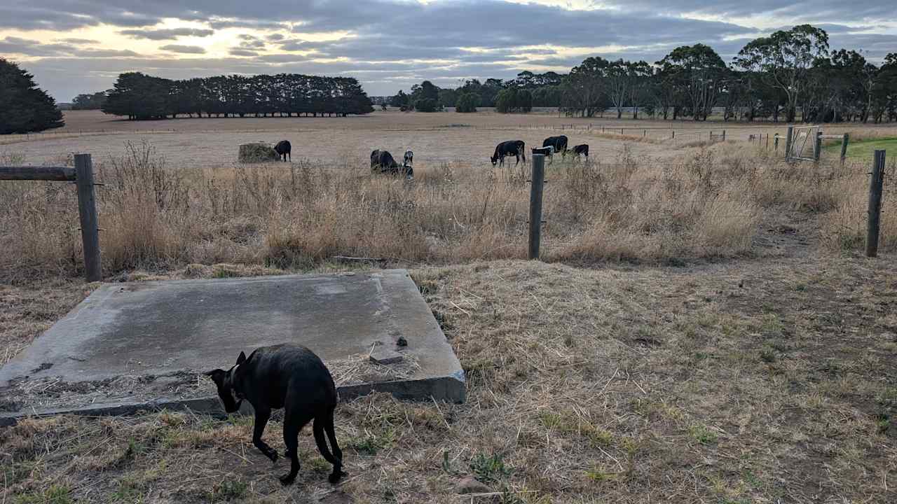 Wattleclair Farmstay