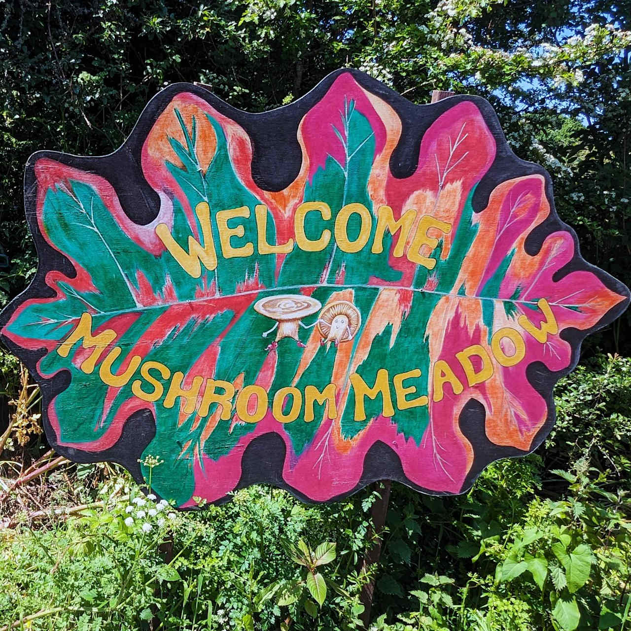 Mushroom Meadow, Cornwall UK