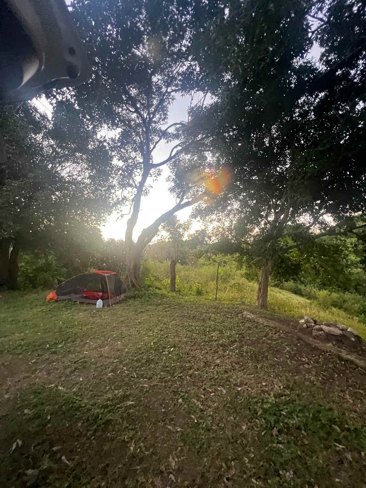 Finca Virginia ⛺️ Cabo Rojo