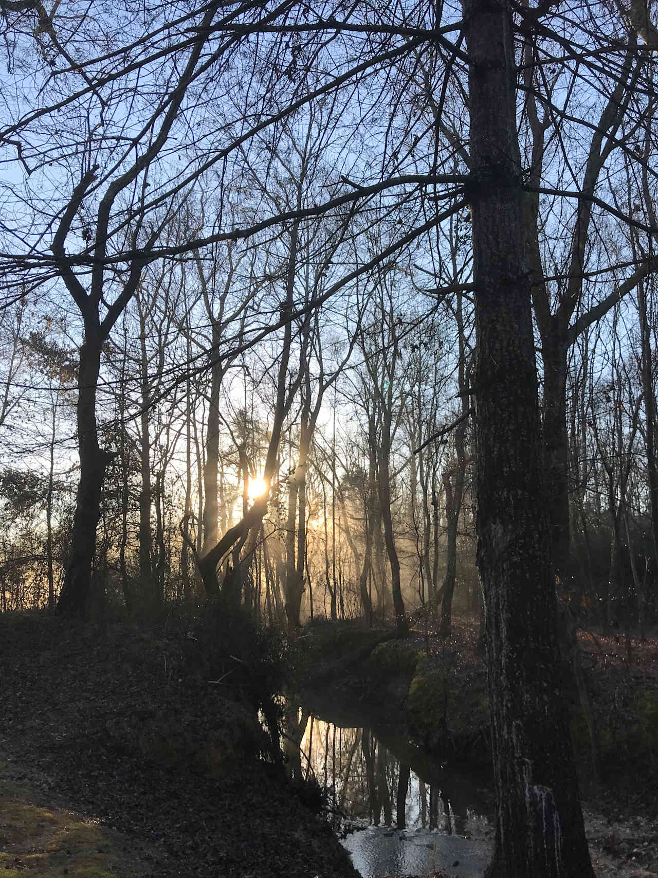 Neal Creek Camping Sites