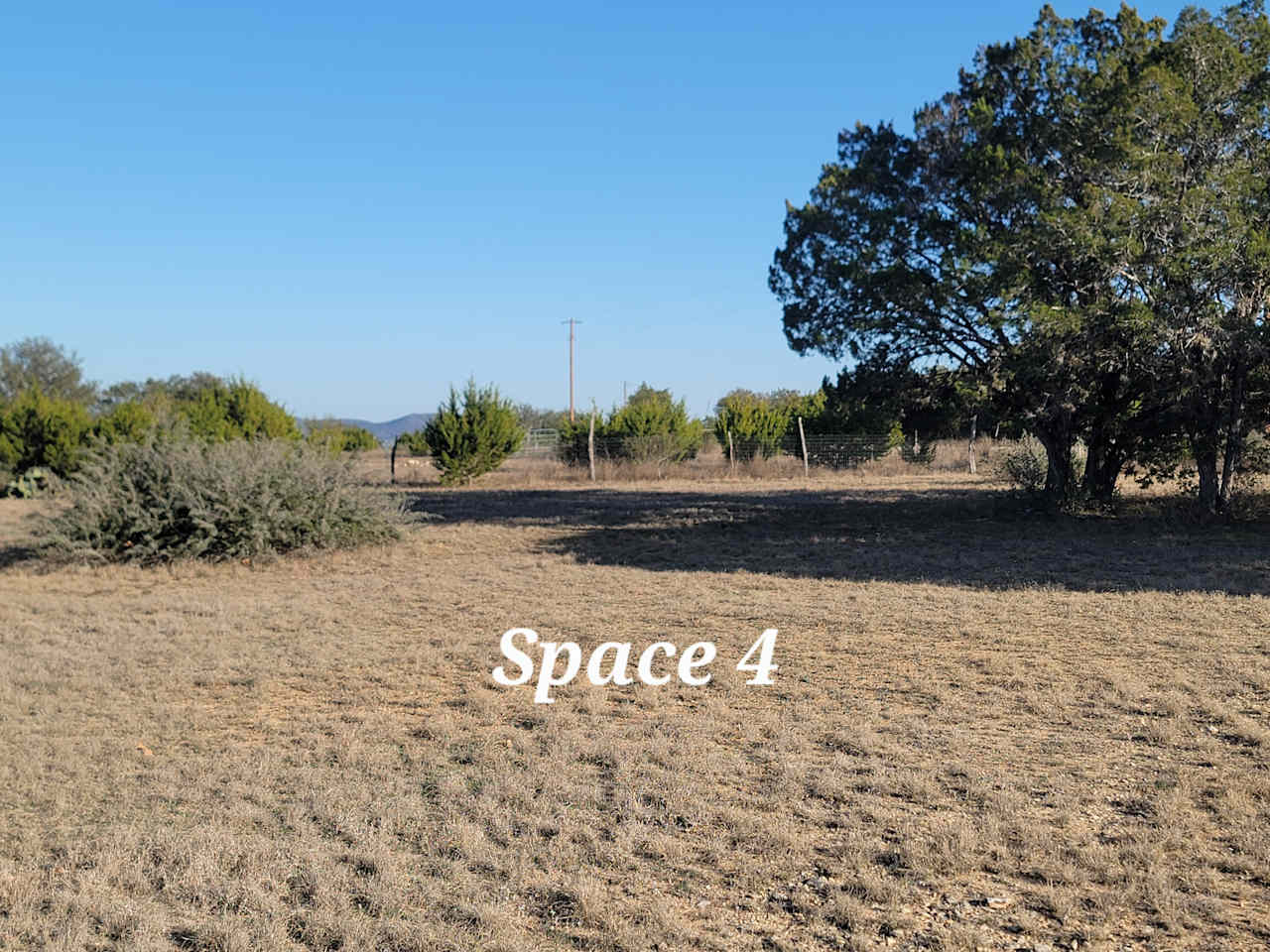 Space 4 is close to the road with easy access and mature cedars. Plenty of room for an RV with slideouts and extra tents.