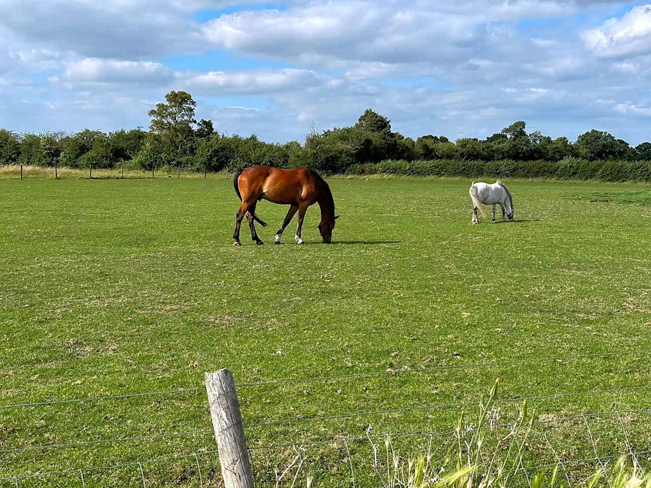 Weston Caravan and Campsite