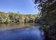 Lake Houston Park Magic By Shell