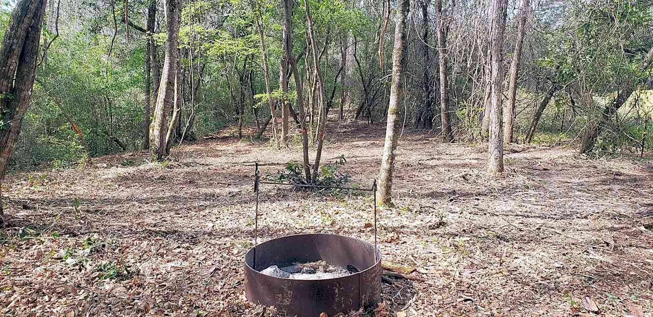 Kelly Creek RV Park & Persimmon Farm